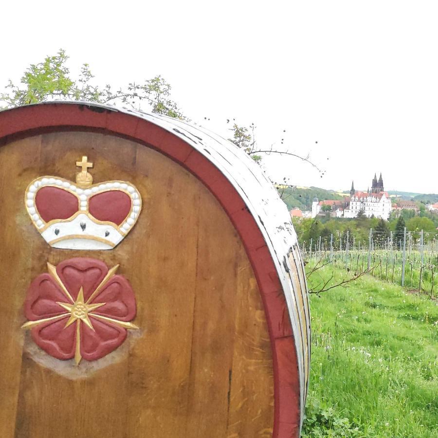 Goldrausch - Glanzvolle Ferienwohnung In Meissen Am Lutherplatz ภายนอก รูปภาพ